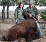 bison 01-2008.JPG (758442 bytes)
